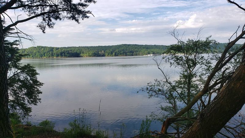 Wildlife and Birdwatching in an Audubon-Designated Area Wildlife and Birdwatching in an Audubon-Designated Area