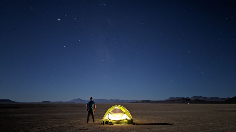 Wildlife and Desert Life: More Alive Than It Looks