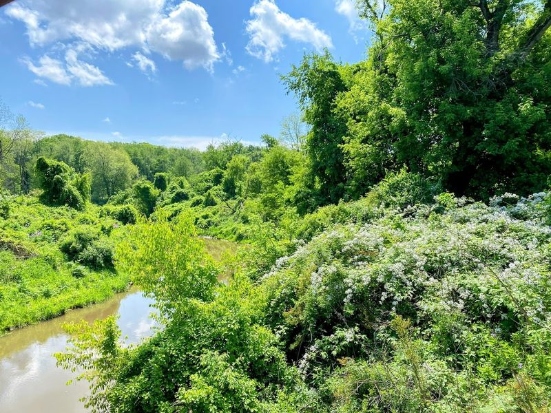 Wildlife and Diverse Natural Habitats Along the Route