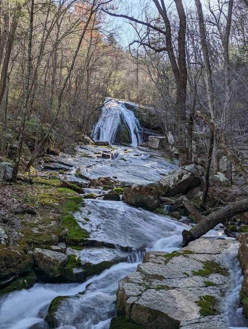 Wildlife and Flora: The Forest Is Watching You Back