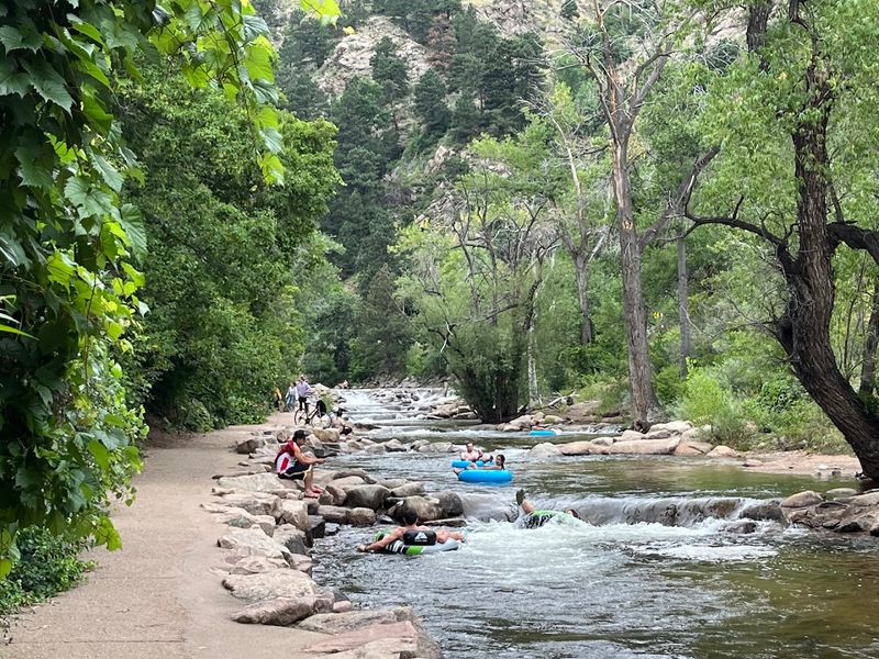 Wildlife and Nature Along Boulder Creek