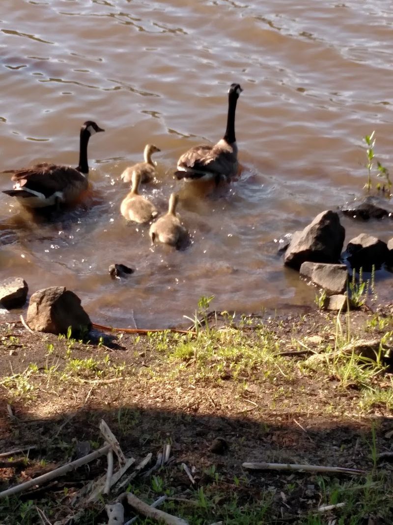 Wildlife and Nature Around Every Turn