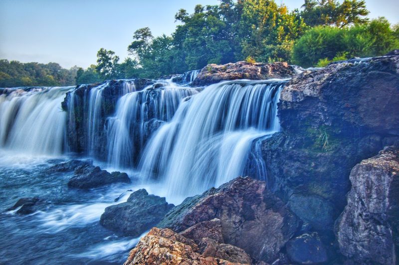 Wildlife and Nature Surround the Falls Year-Round