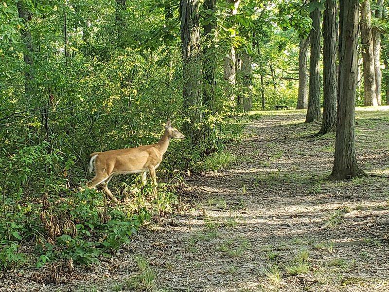 Wildlife and Nature Worth Paying Attention To