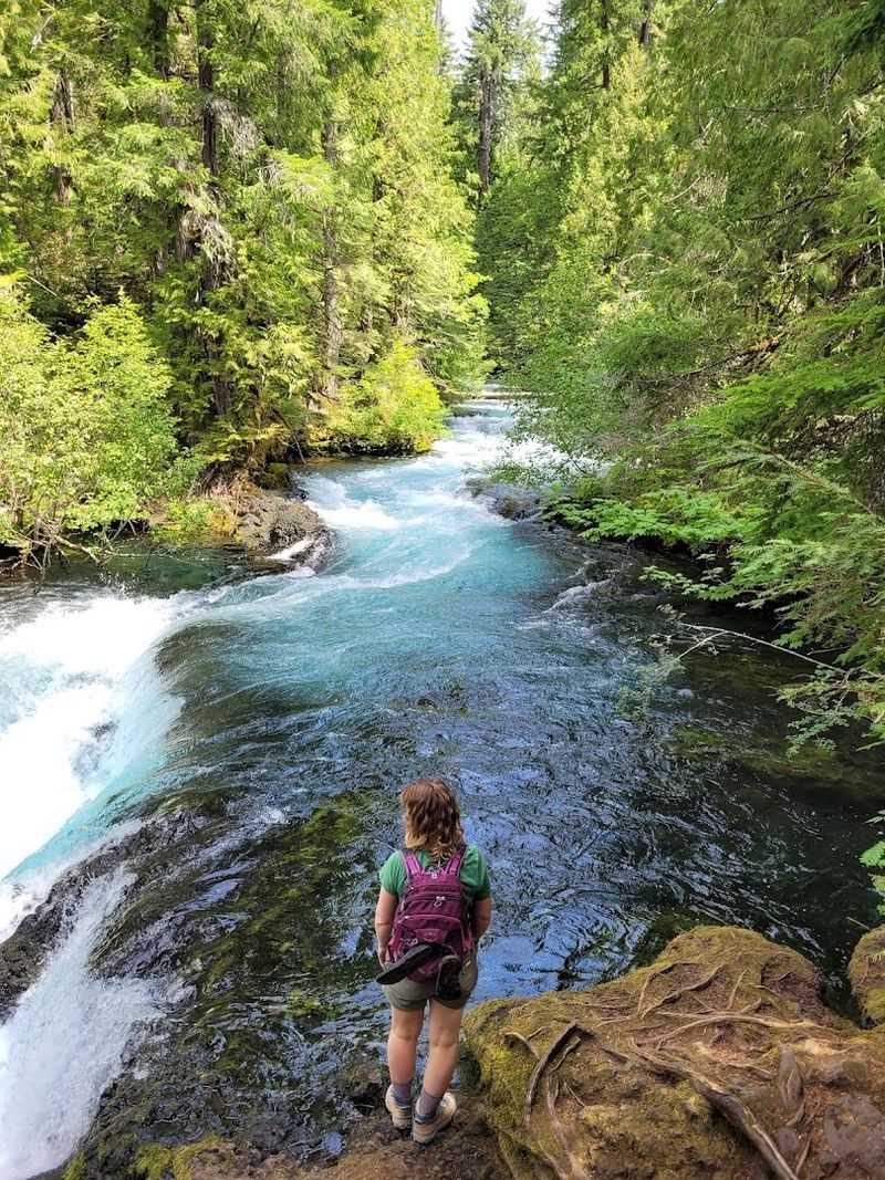 Wildlife and River Life: What Moves Along the Trail