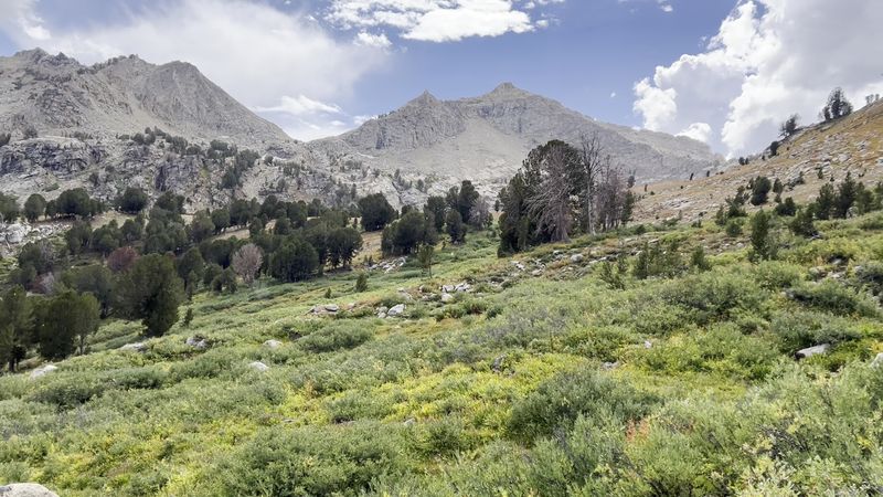 Wildlife and Wildflowers: What You Will Actually See Along the Way