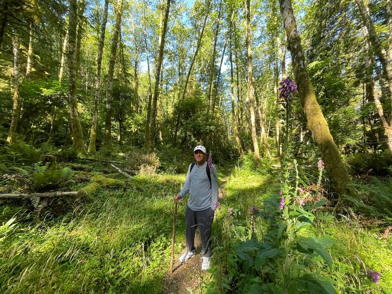 Wildlife on the Trail: Elk, Snakes, and Surprises