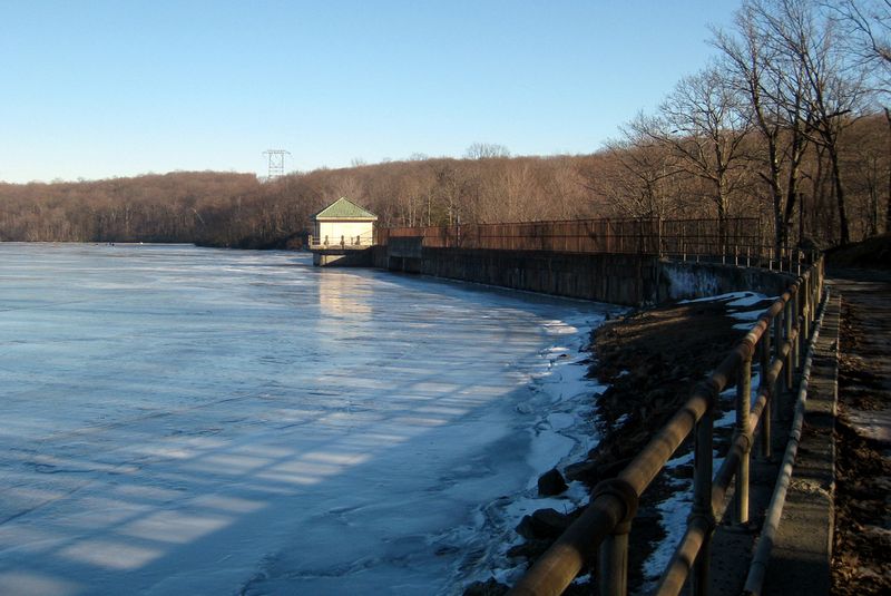 Winter Visits and the Quiet Magic of the Cold Season