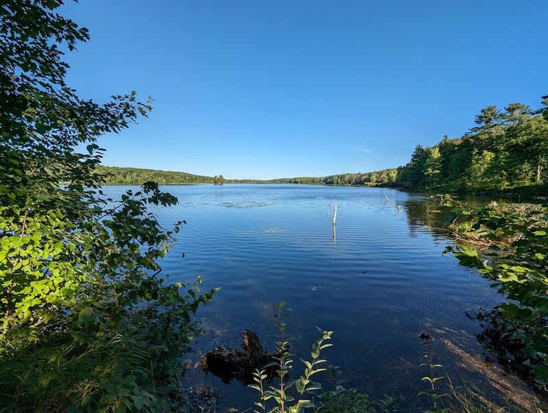 Wisconsin's Least-Visited State Park and Why That's a Good Thing