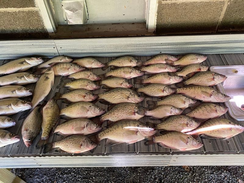 World-Class Fishing for Bass and Stripers World-Class Fishing for Bass and Stripers