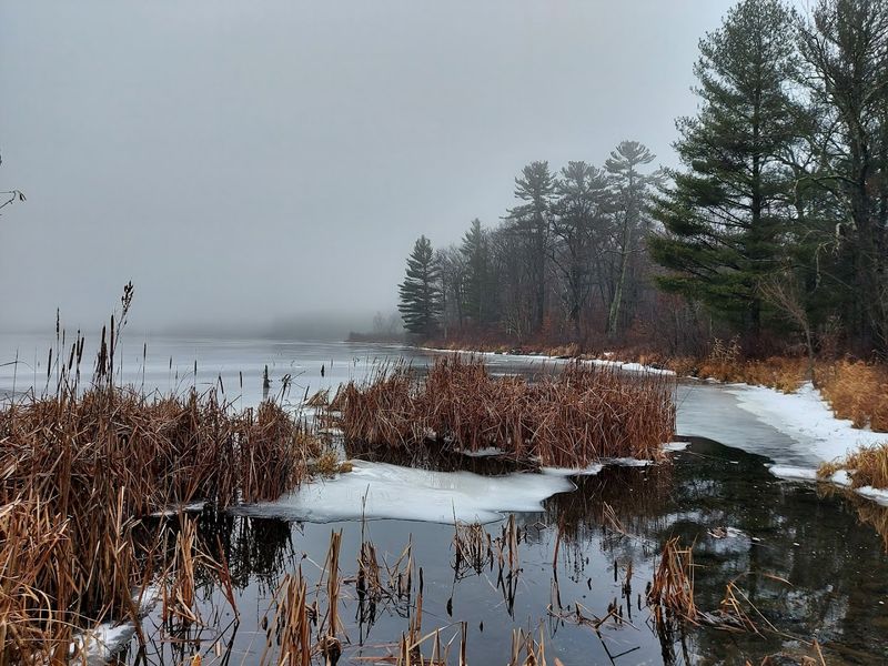 Year-Round Activities That Change With the Seasons