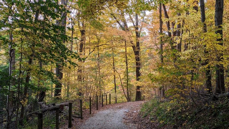 Year-Round Events and Wildlife That Keep Every Visit Feeling New