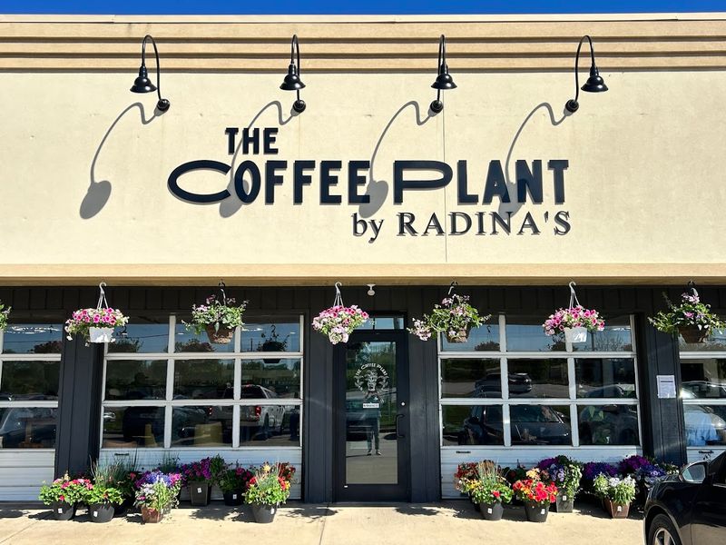 The Story Behind The Coffee Plant by Radina's