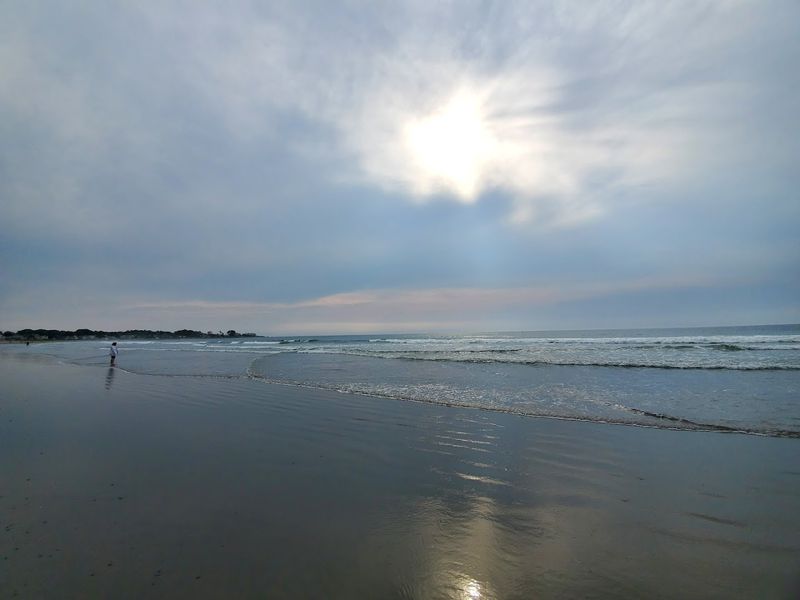 Your Complete Guide to Visiting Jenness State Beach
