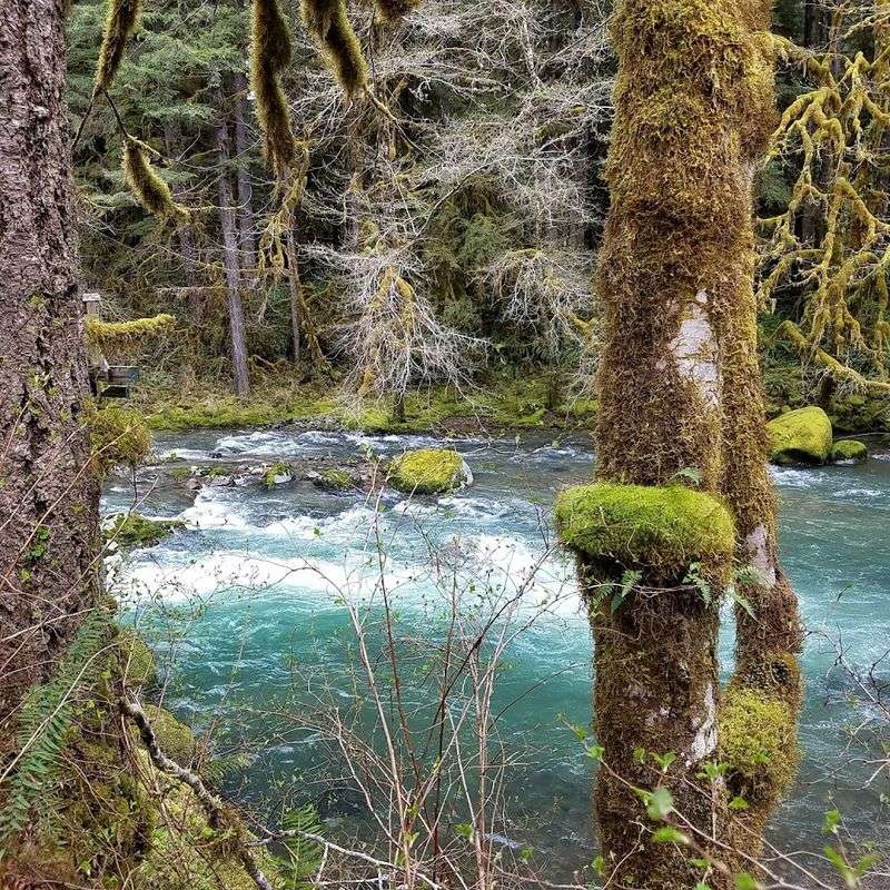 Yukwah Swimming Hole