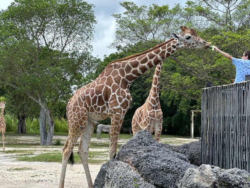 Zoo Miami
