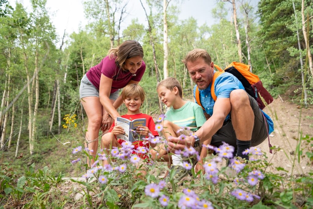 Discover the wildflowers on easy family hikes in Colorado. Photo c. Holly Blando for Breckenridge Tourism Office.