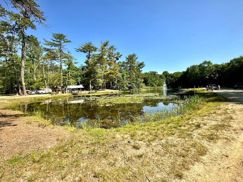 113 Wooded Acres Inside the New Jersey Pine Barrens