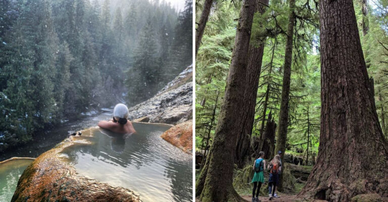 13 Free-Admission Spots In Oregon Where You Can Spend Summer Days