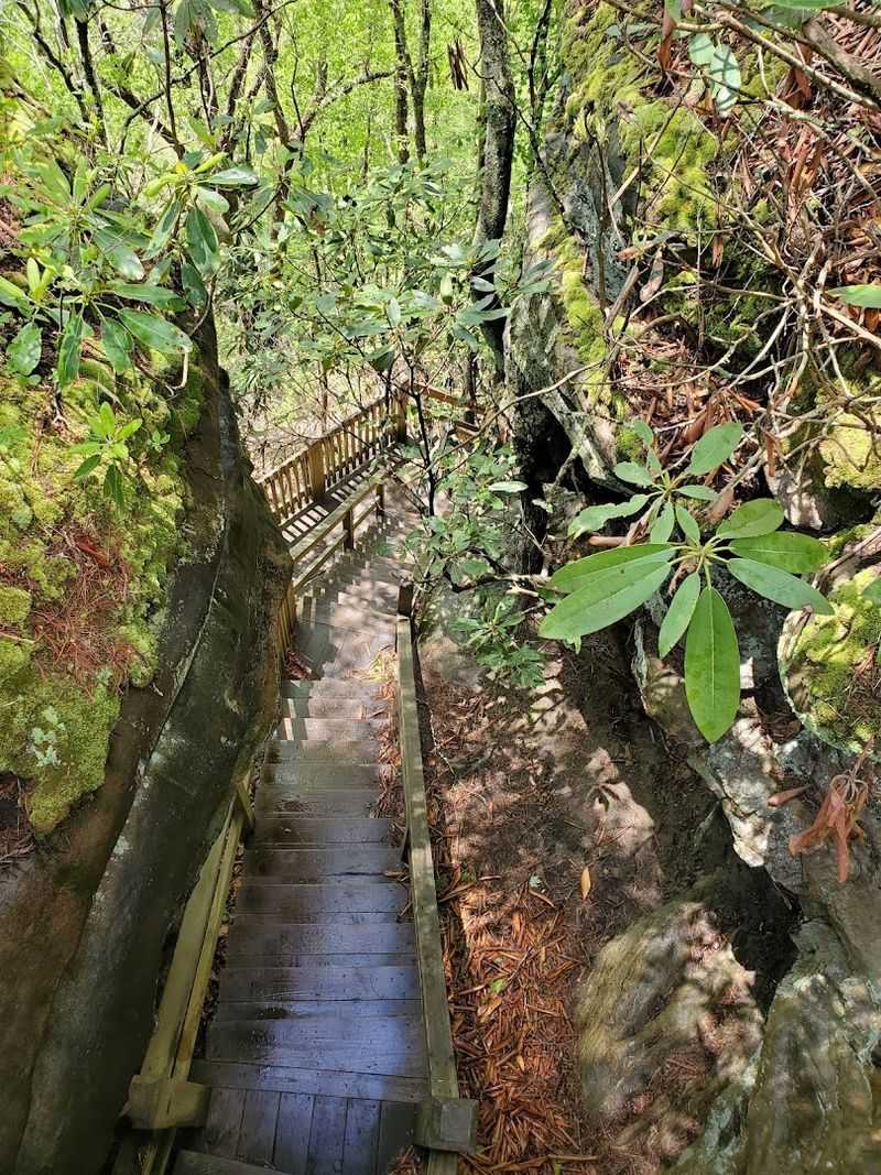 150 Steps to a Whole New Perspective