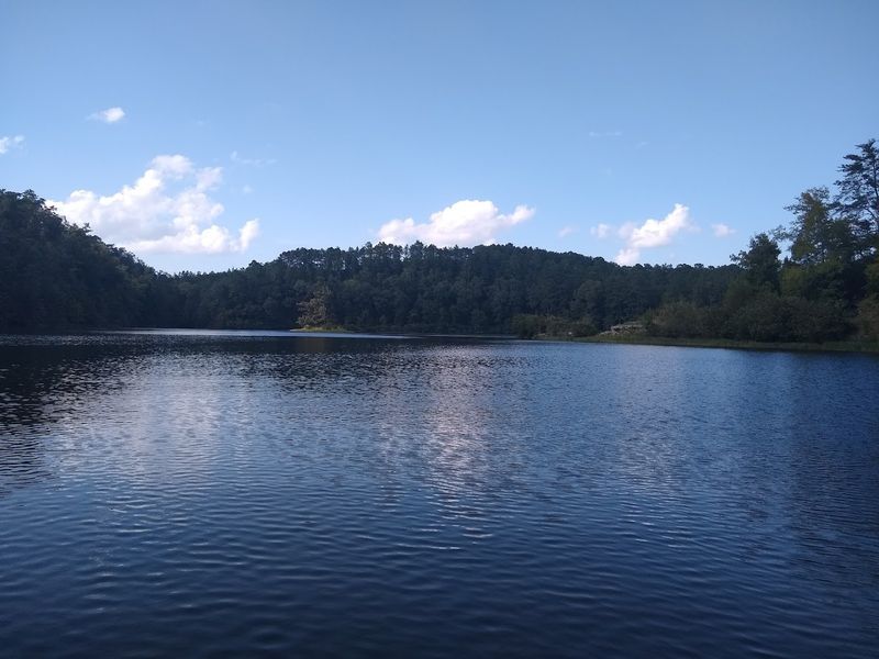 A 384-Acre Lake That Rewards Every Type of Paddler A 384-Acre Lake That Rewards Every Type of Paddler