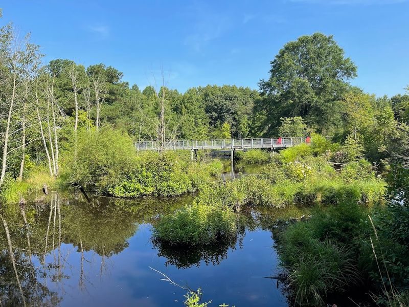 A 400-Acre Native Landscape That Feels Genuinely Untouched A 400-Acre Native Landscape That Feels Genuinely Untouched