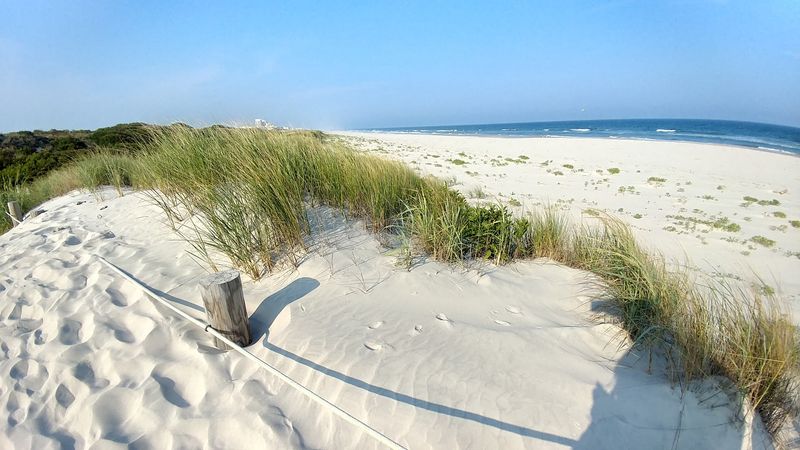 A Beach That Belongs to the Birds