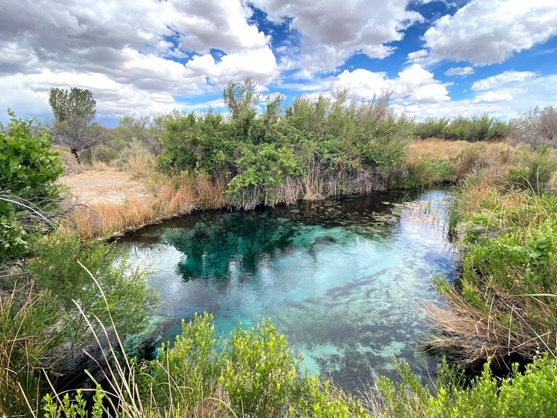 A Biodiversity Hotspot Hidden in Plain Sight