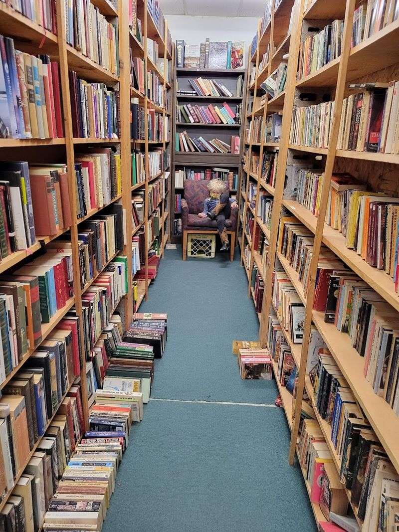 A Bookstore Where Every Shelf Tells a Story A Bookstore Where Every Shelf Tells a Story