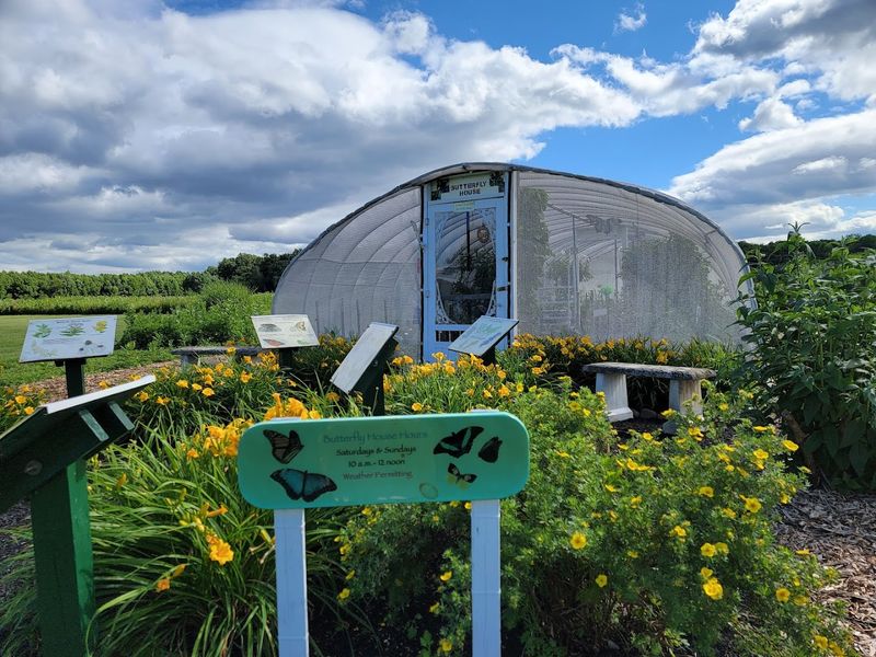 A Butterfly House Unlike Anything You Have Seen Before