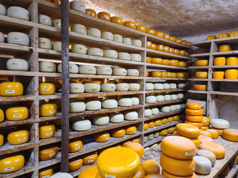 A Cheese Selection That Will Make Your Head Spin in the Best Way A Cheese Selection That Will Make Your Head Spin in the Best Way