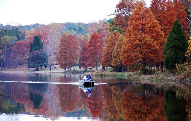 A Conservation Legacy Built by the CCC That Still Stands Strong