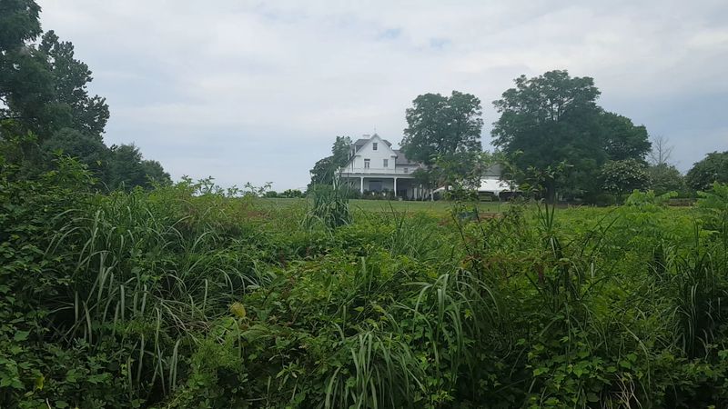A Conservation Victory That Secured This Treasure Forever