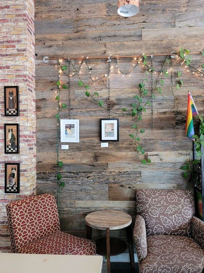 A Cozy Cafe With a Big Heart