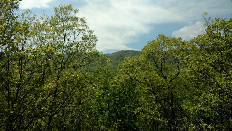 A Destination That Rewards Every Season