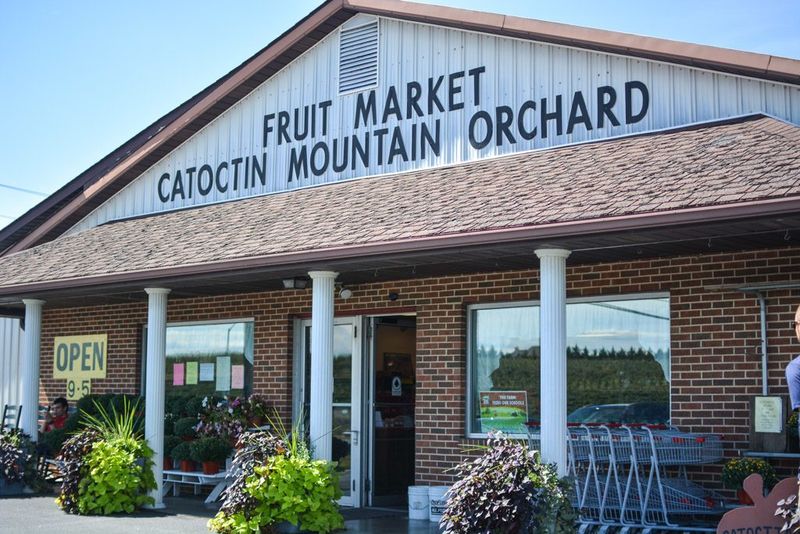 A Family Farm That Has Been Going Strong Since 1948