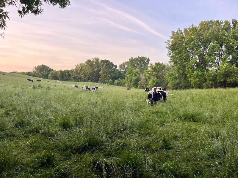 A Family Farm With Deep Roots in Minnesota