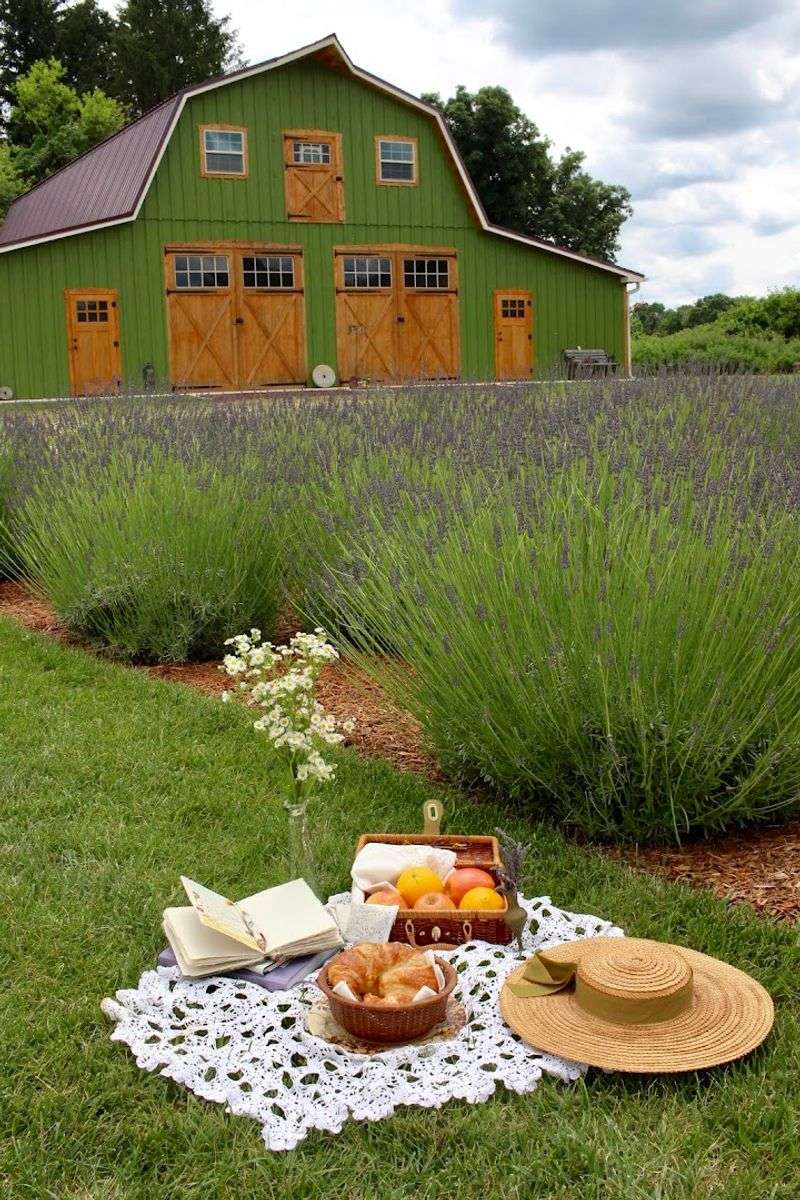 A Family Farm With a Story Worth Knowing