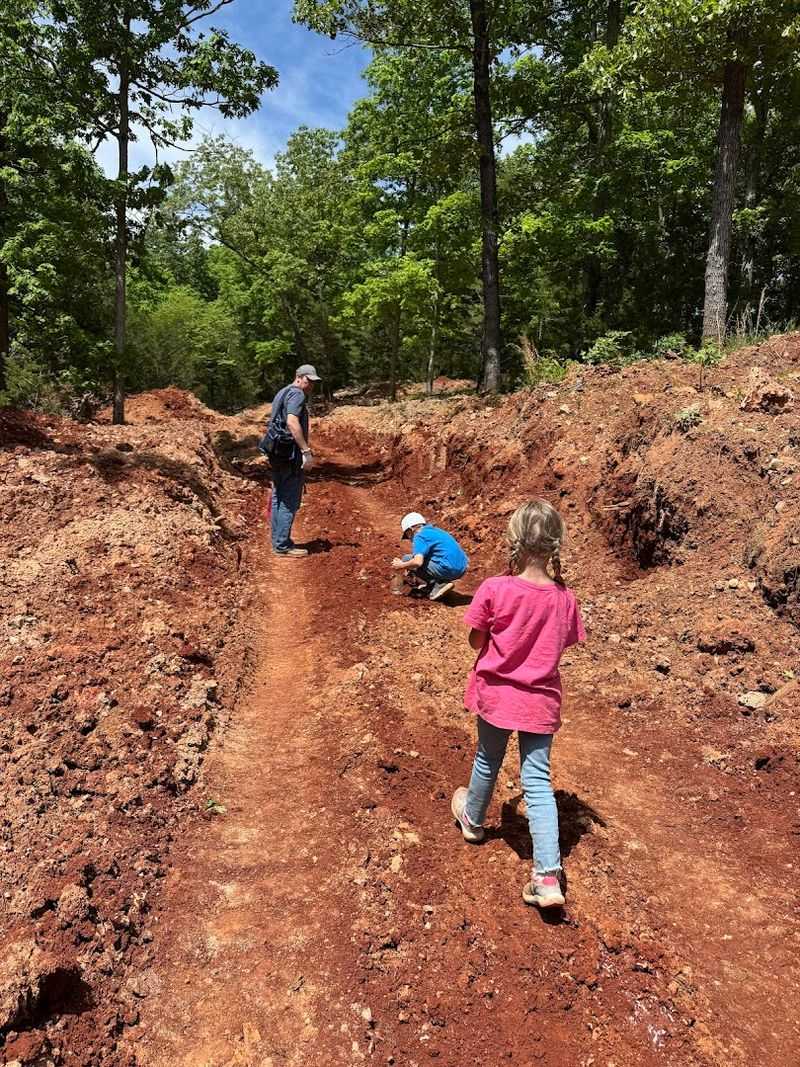 A Family-Friendly Experience Unlike Any Other