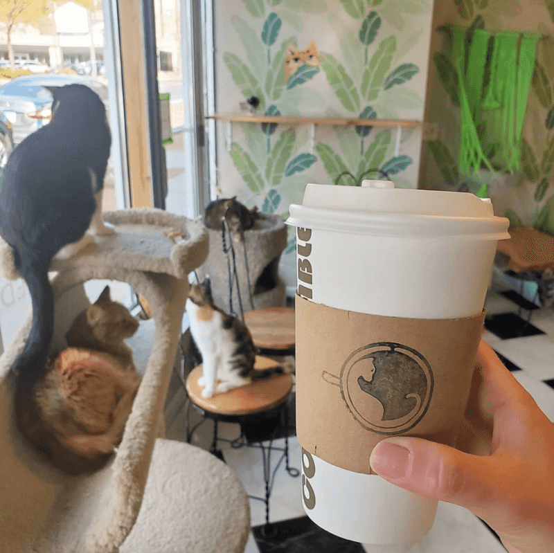 A Family-Friendly Spot That Kids Absolutely Love