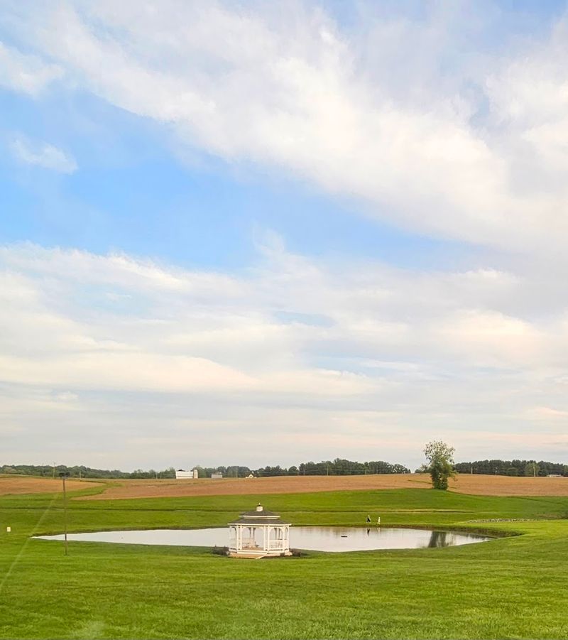A Farm Setting That Changes How You Feel About Dinner