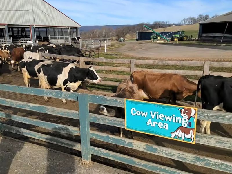 A Farm That Actually Feels Like a Farm A Farm That Actually Feels Like a Farm