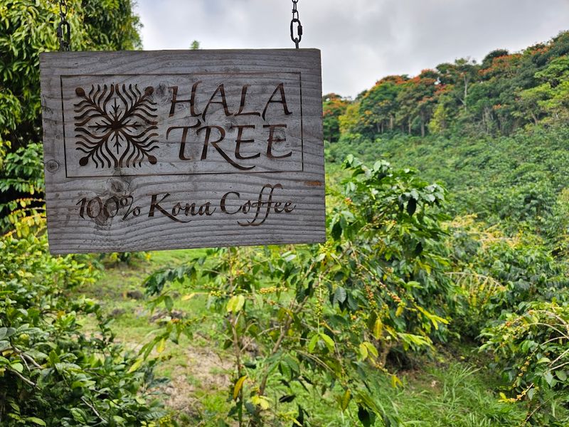 A Farm-to-Cup Promise That Actually Means Something A Farm-to-Cup Promise That Actually Means Something