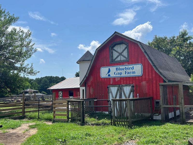 A Free Farm Zoo That Actually Exists in the Middle of a City