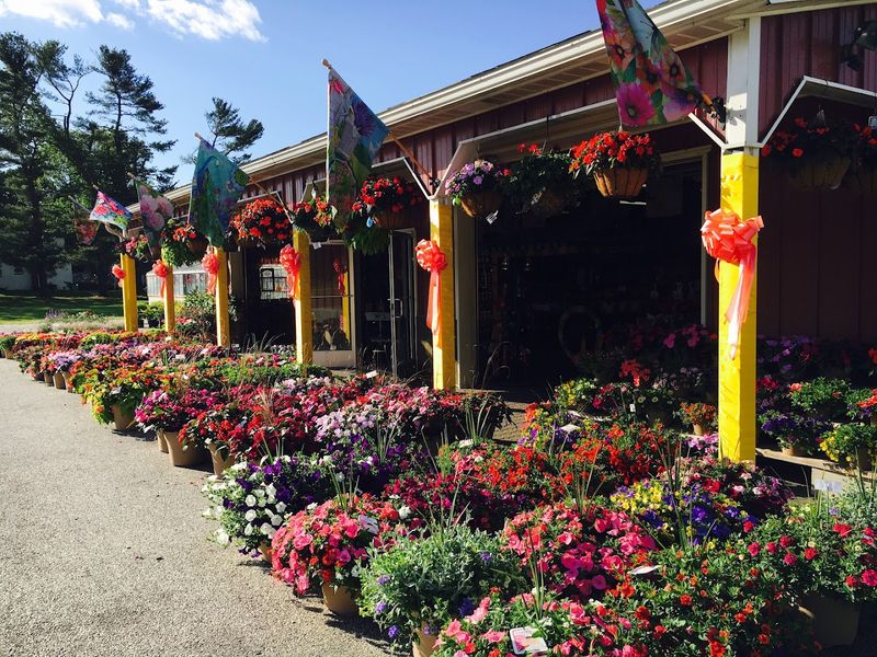 A Garden Center Worth Exploring