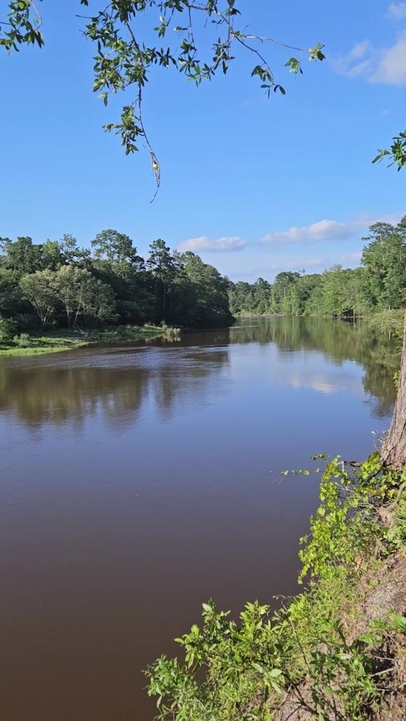 A Gateway To The Big Thicket That Deserves Its Own Spotlight