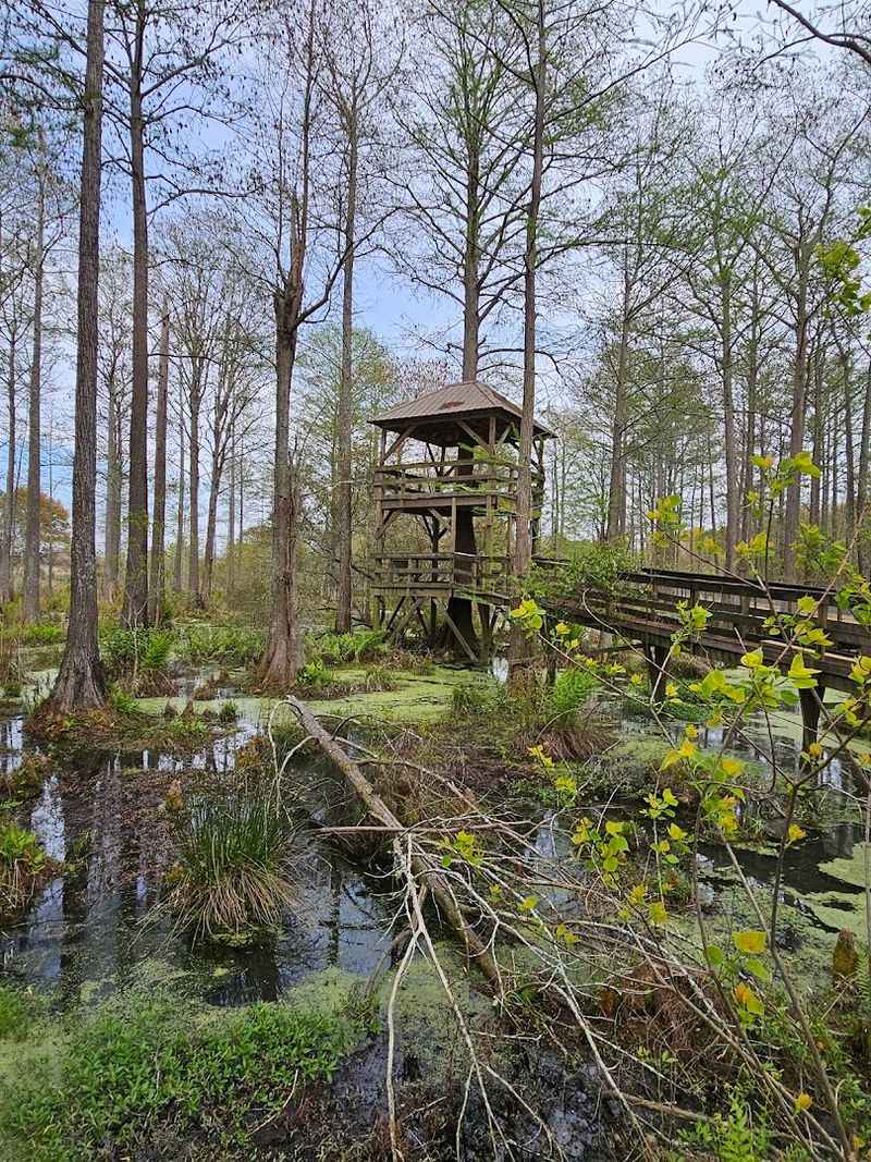 A Genuine Wildlife Sanctuary With a Conservation Mission