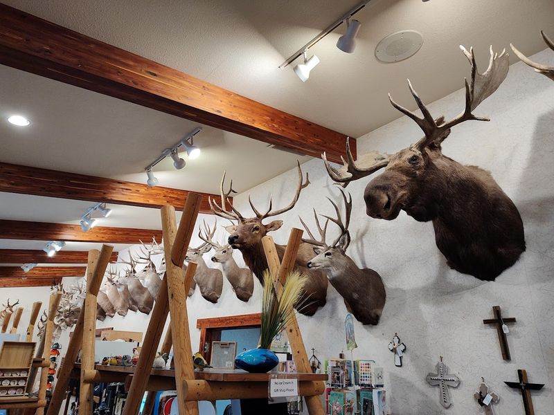 A Gift Shop That Feels Like a Natural Extension of the Place