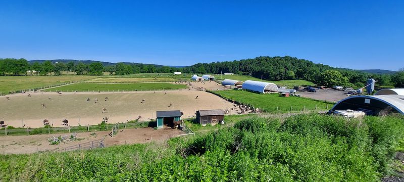 A Hidden Spot in Sussex County