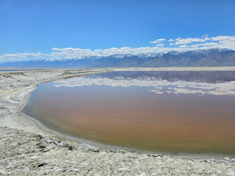 A Lake That Time and Los Angeles Nearly Erased A Lake That Time and Los Angeles Nearly Erased